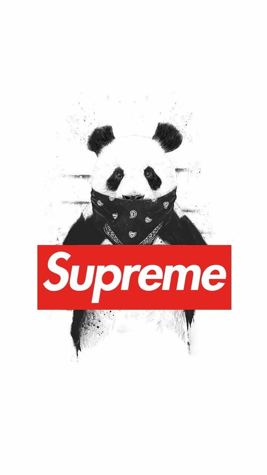 supreme, Brand, Logo HD Wallpapers / Desktop and Mobile Images & Photos