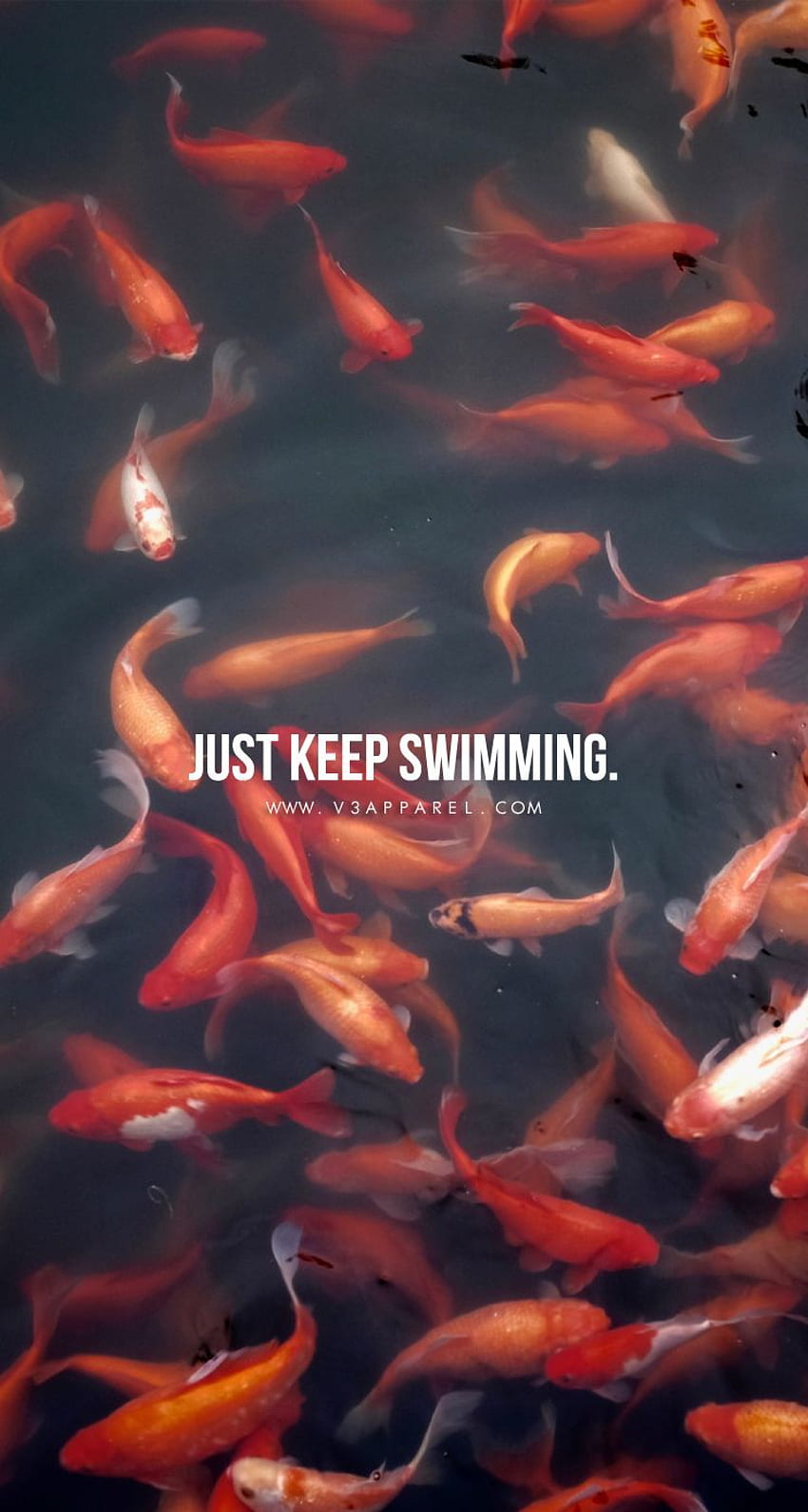 Just keep swimming Head over to MadeToMotivate, Swimming Quotes HD phone wallpaper