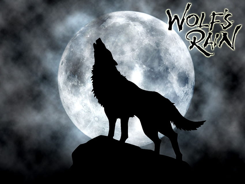 Wolf's Rain : Howl to the Moon, Flying Wolf Wallpaper HD