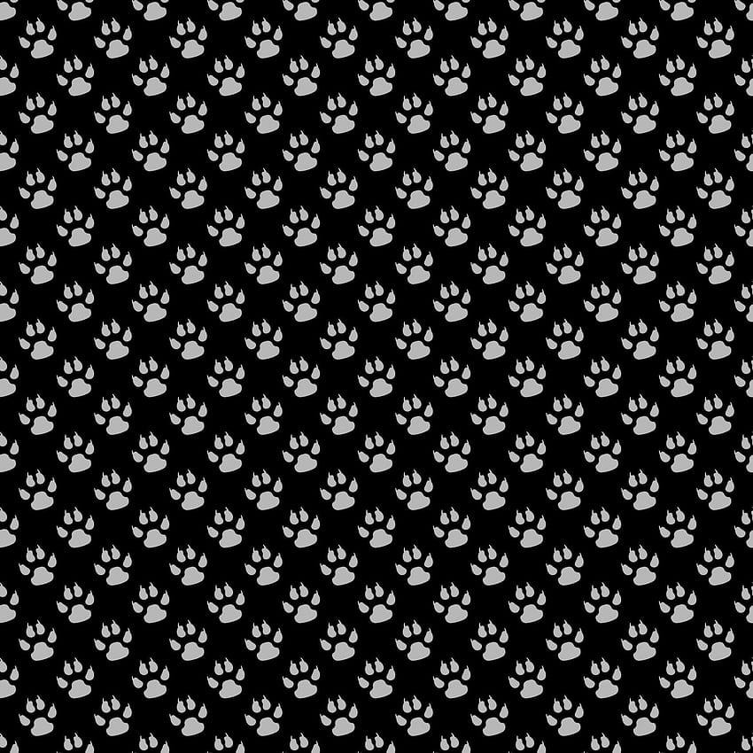 Paw Print, Dog Print HD phone wallpaper