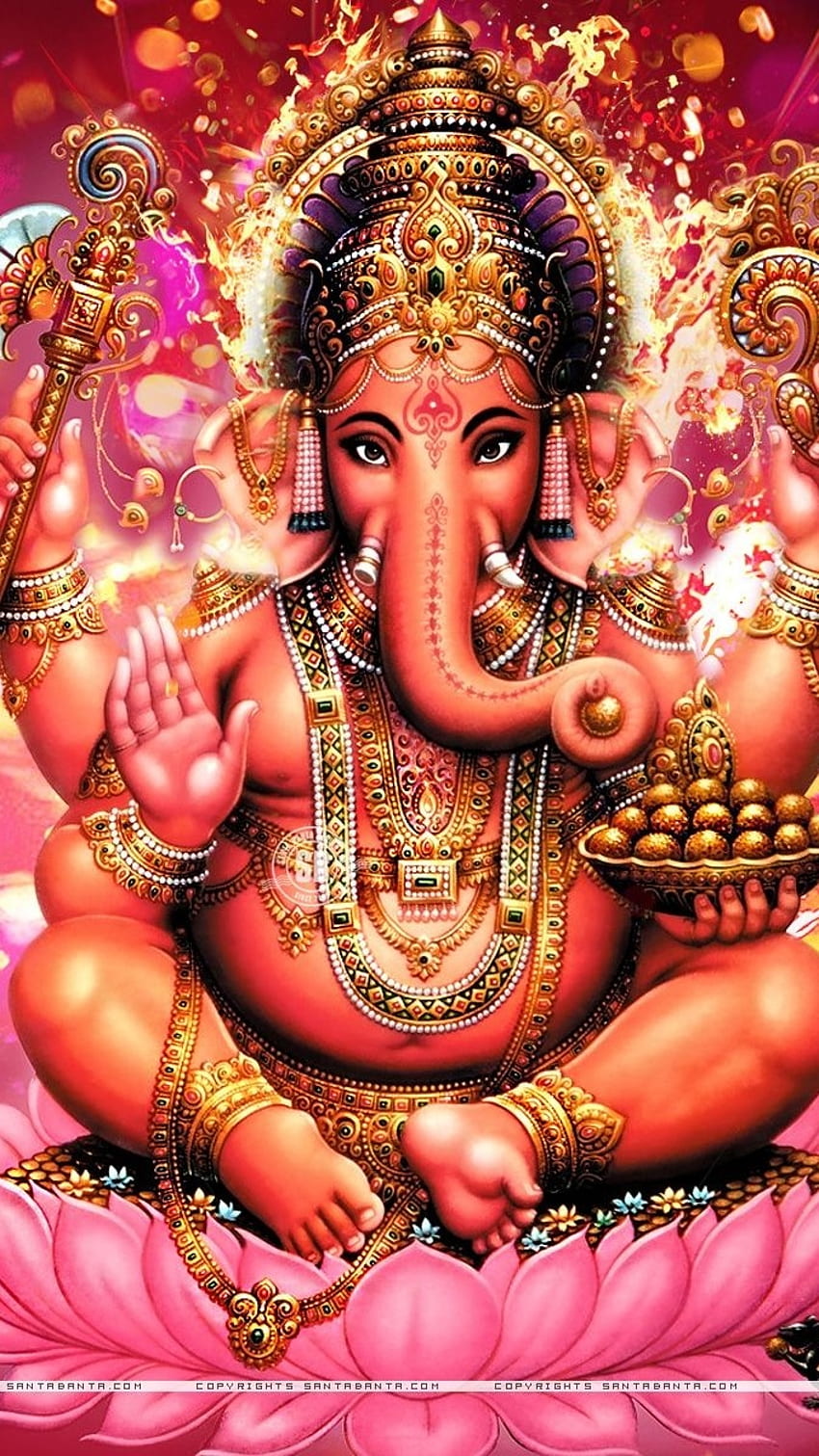 Dios Ganesh, rosa, loto fondo de pantalla del teléfono