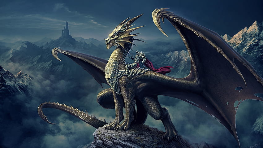 Dragon, knight, fantasy, warrior, art HD wallpaper