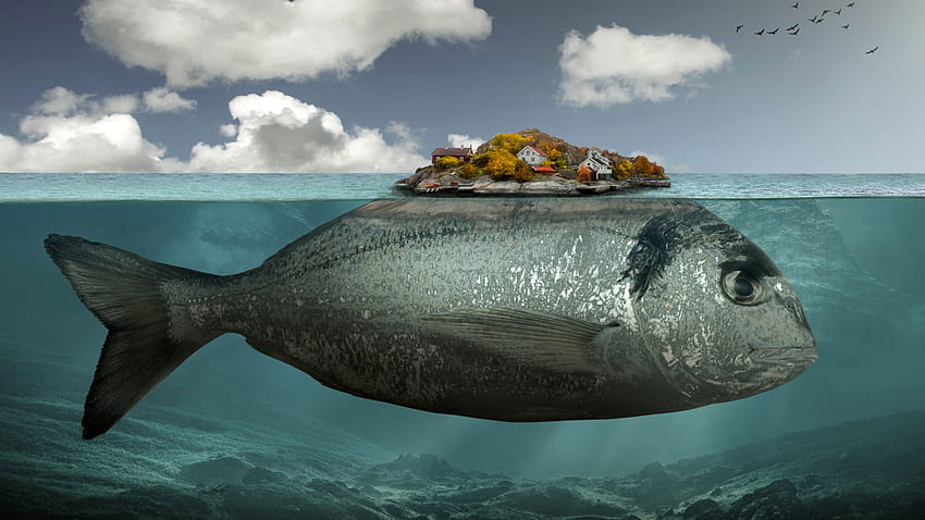 Ilustrasi ikan abu-abu , karya seni, seni digital, surealis, bawah air • For You For & Mobile, Surreal Painting Wallpaper HD