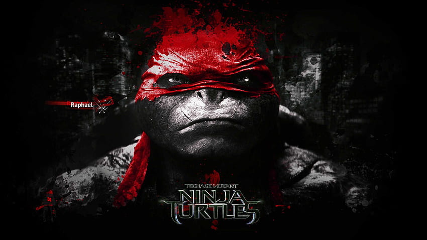 teenage mutant ninja turtles, Cool Ninja HD wallpaper