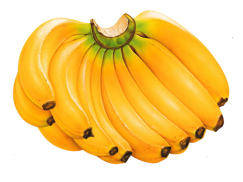 Банан, грозд, плод, китка, банан HD тапет