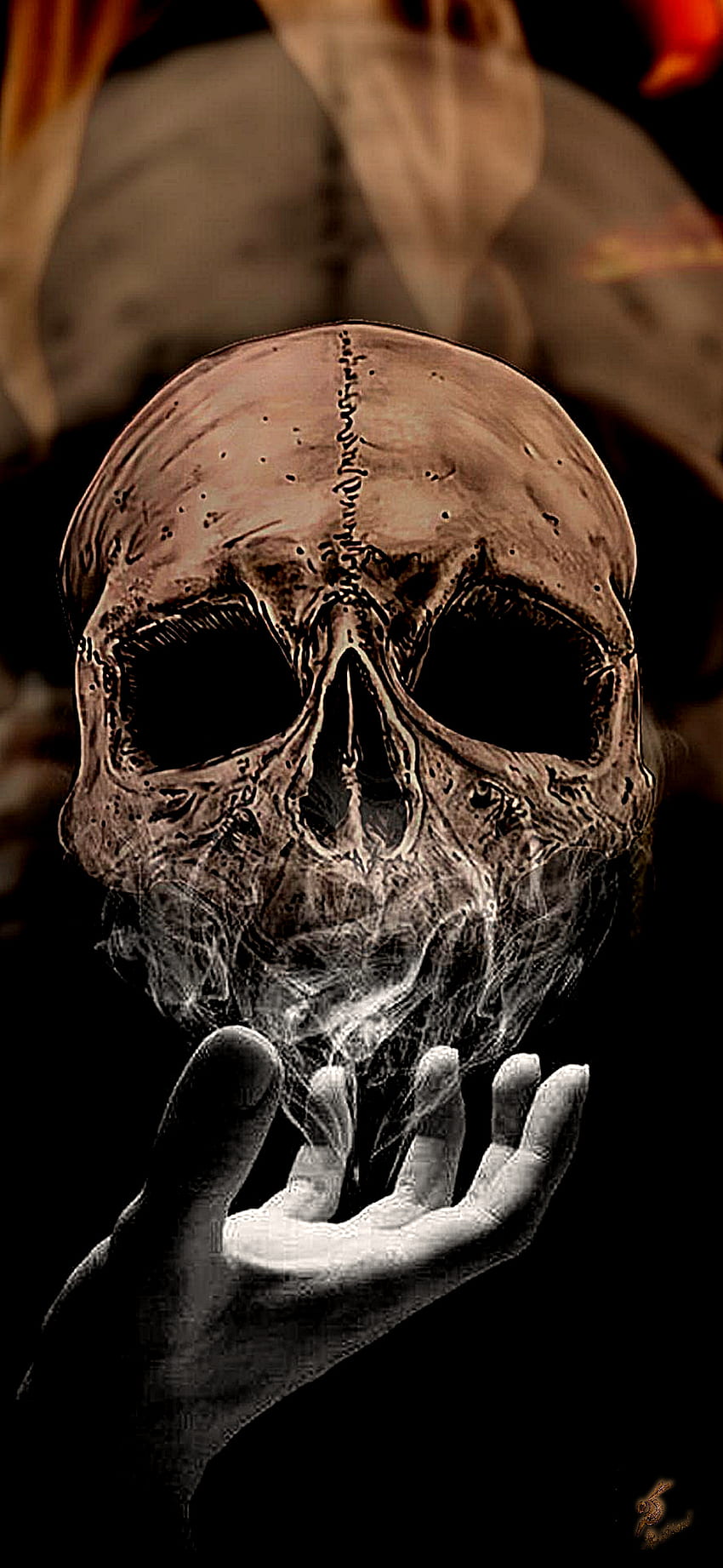 Skull HD Wallpapers and 4K Backgrounds - Wallpapers Den