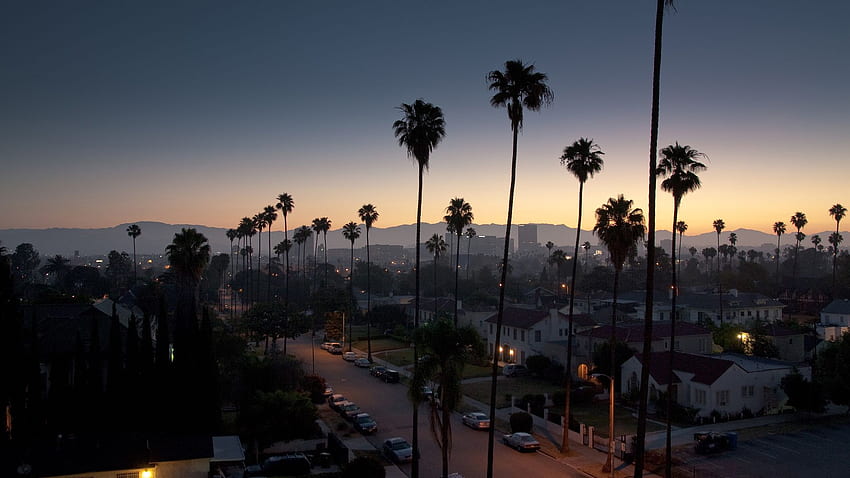 Palm Tree Night View California - Los Angeles - - teahub.io, Los Angeles Aesthetic HD wallpaper