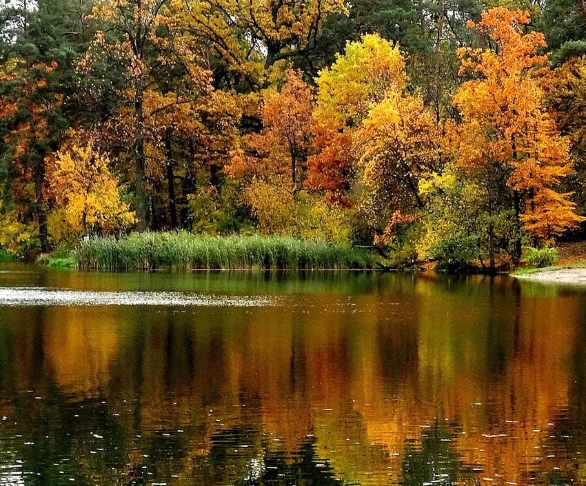 Autumn, colors, amazing, lake HD wallpaper