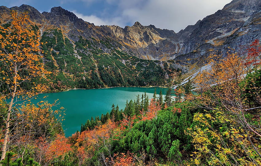 Lac Morskie Oko, Tatras, Pologne, plantes, paysage, ciel, montagnes, eau Fond d'écran HD