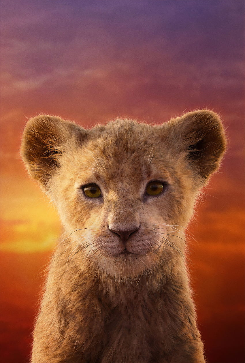 Baby Simba ในยนตร์ Lion King วอลล์เปเปอร์โทรศัพท์ HD