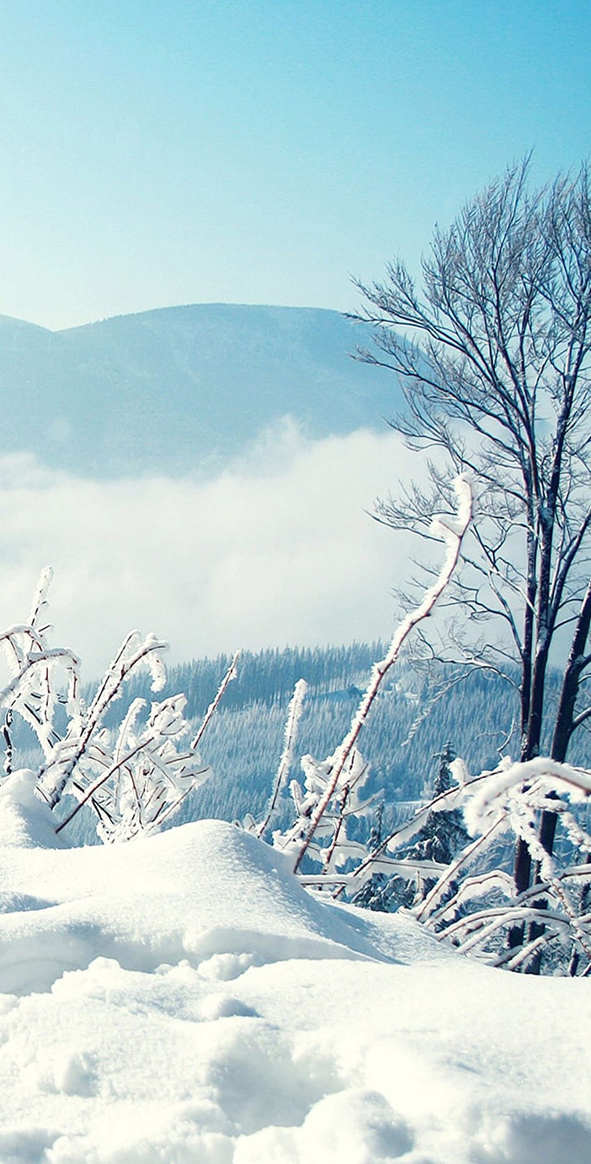 Nieve, árboles, azul, paisaje, galaxia, tranquilo, belleza, naturaleza, pacífico, calmante, Samsung. iPhone invierno, S8, Galaxy s8 fondo de pantalla del teléfono