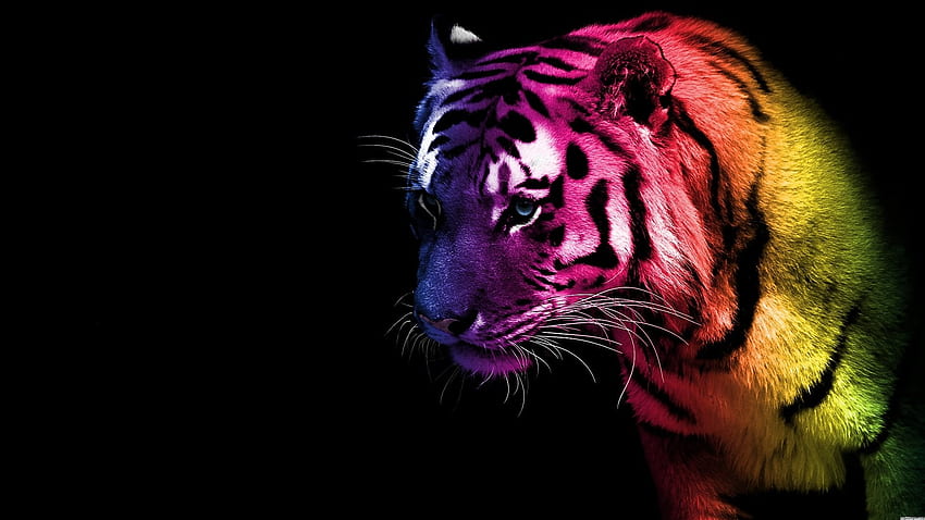 Neon Tiger , Neon Leopard HD wallpaper