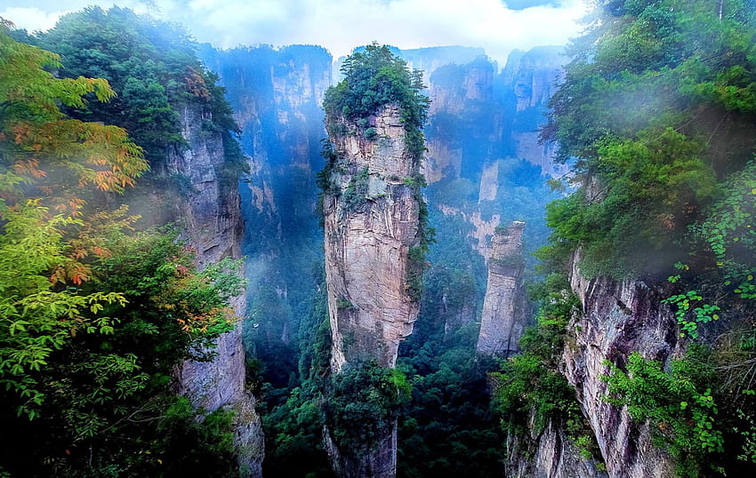 Zhangjiajie National Forest Park, Avatar film, China, morning fog, cliffs, beautiful landscape, limestone rocks, trees, mountains, forest HD wallpaper