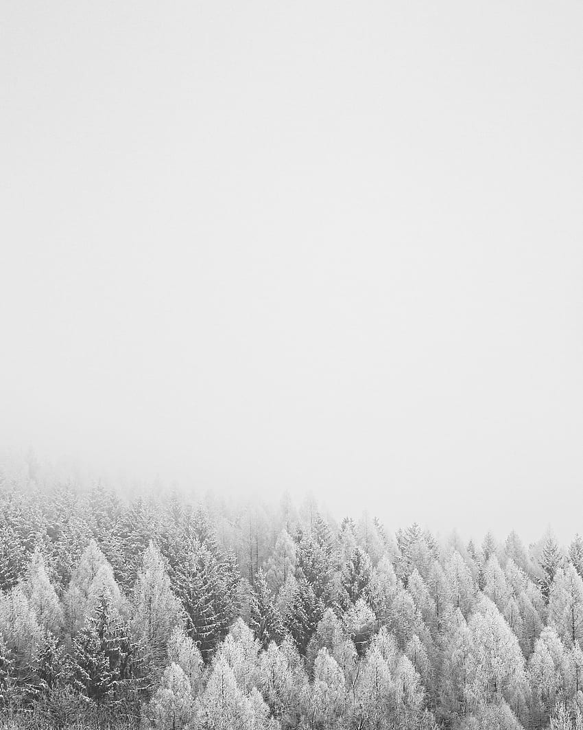 Зима, природа, дървета, сняг, гора HD тапет за телефон