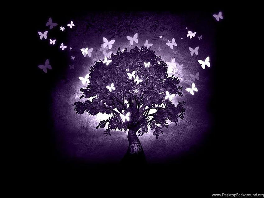 Purple Butterflies Background, Black and Purple Butterflies HD wallpaper