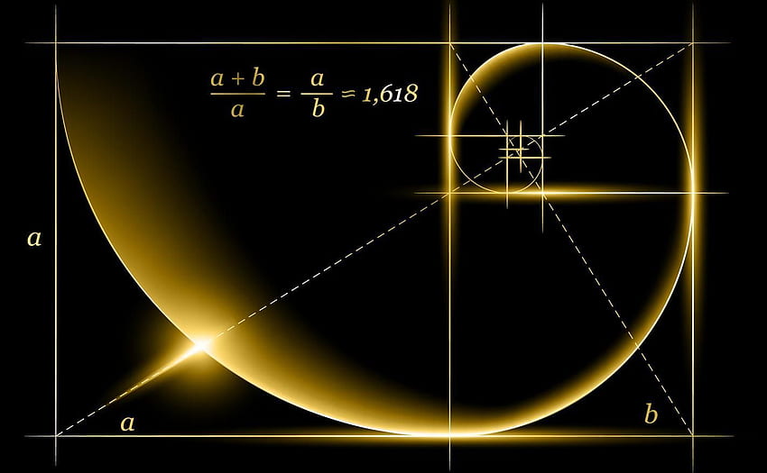 Section d'or (rapport, proportion divine) et spirale d'or, spirale de Fibonacci Fond d'écran HD
