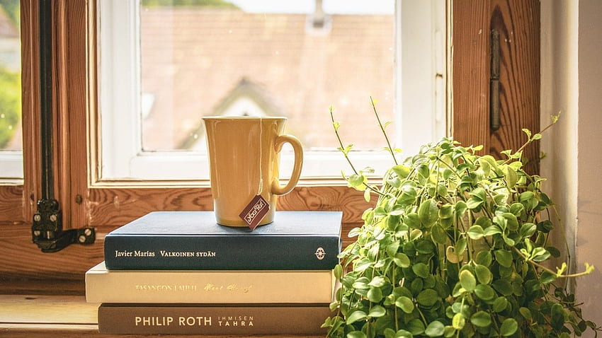 Fenster, Bücher, Tasse, Tee, Pflanze, Stimmung für Laptop, Notebook HD-Hintergrundbild