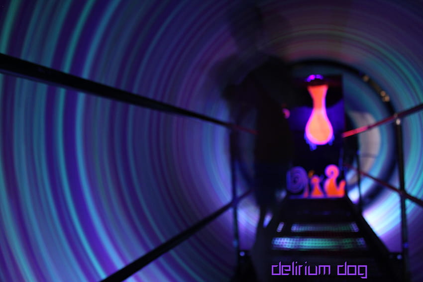 Delirium Dog in Tunnel HD wallpaper