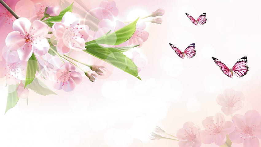 Cherry Blossom Light, Washington DC, morbido, primavera, albero, farfalle, foglie, fiori di melo, Giappone, luce, Sakura, mela, fiori, fiori di ciliegio Sfondo HD