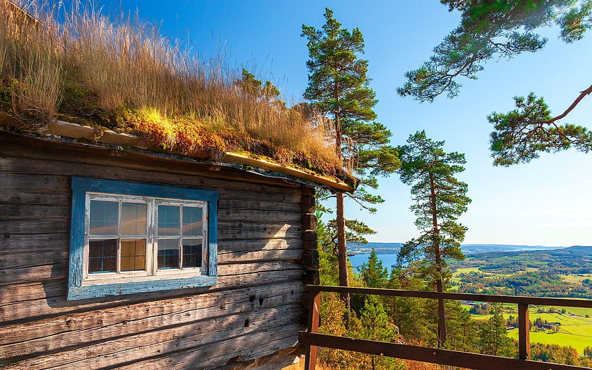 Cabin in Sweden, window, cabin, wooden, fence, Sweden, pines HD wallpaper