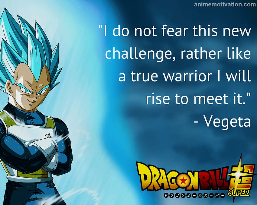 Inspirational Anime You Need To . Dbz quotes, Dragon ball , Dragon ball artwork, Motivational Anime HD wallpaper
