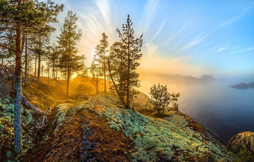 Morning Sunrise, mist, landscape, trees, colors, sky, water, lake HD wallpaper