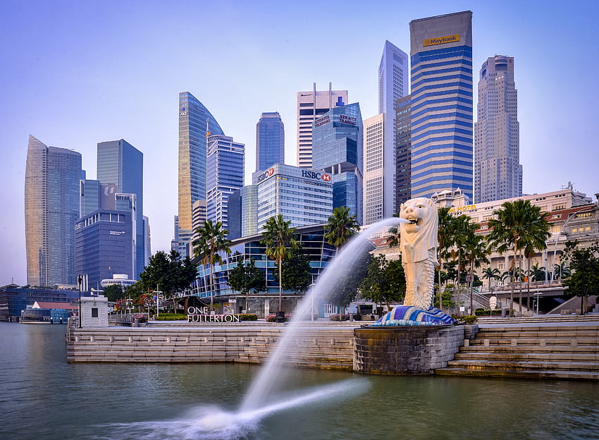 skyscrapers fountain singapore city, Merlion HD wallpaper