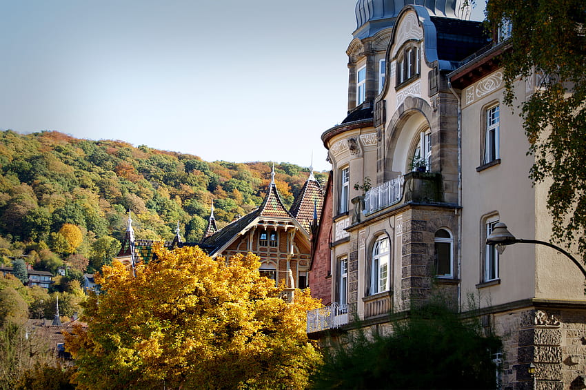 Miasta, jesień, architektura, budynek, las, Heidelberg, Niemcy Tapeta HD