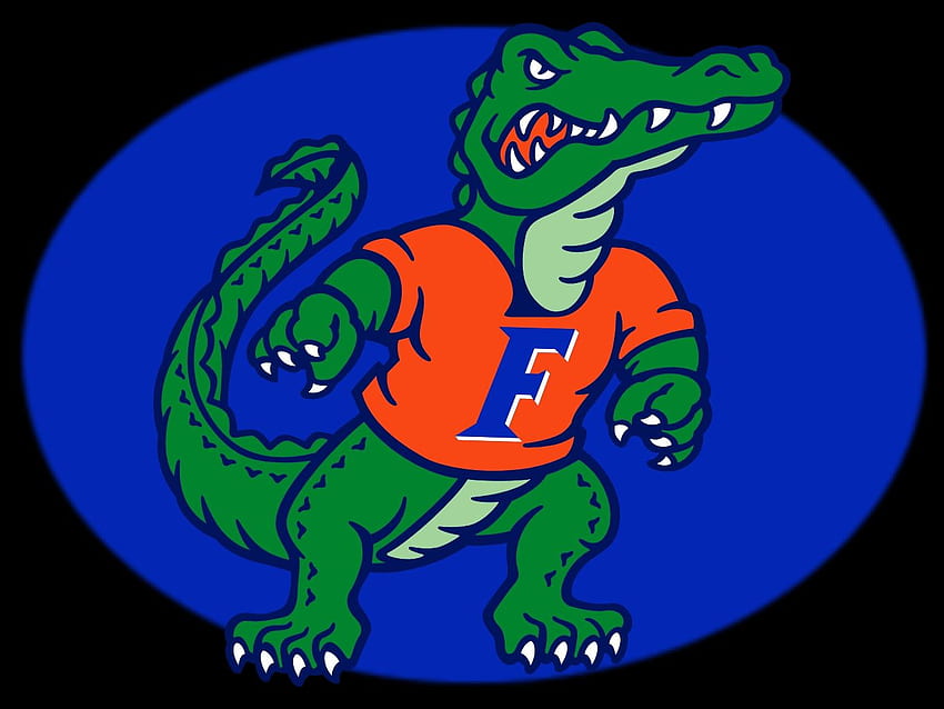 Florida Gator and, Florida Gators Logo HD wallpaper