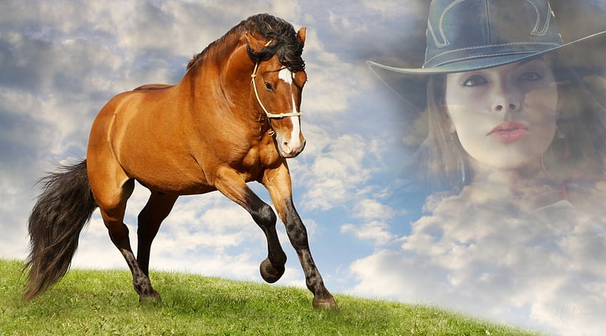 Cowgirl et son cheval, cheval, ranch, cowgirl, nuages, ciel, femme, collage, beauté Fond d'écran HD