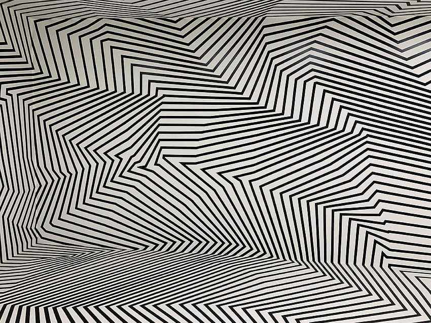 Zebra Optical Illusion - Optical Illusion 3D -, Optical Illusion Black HD wallpaper