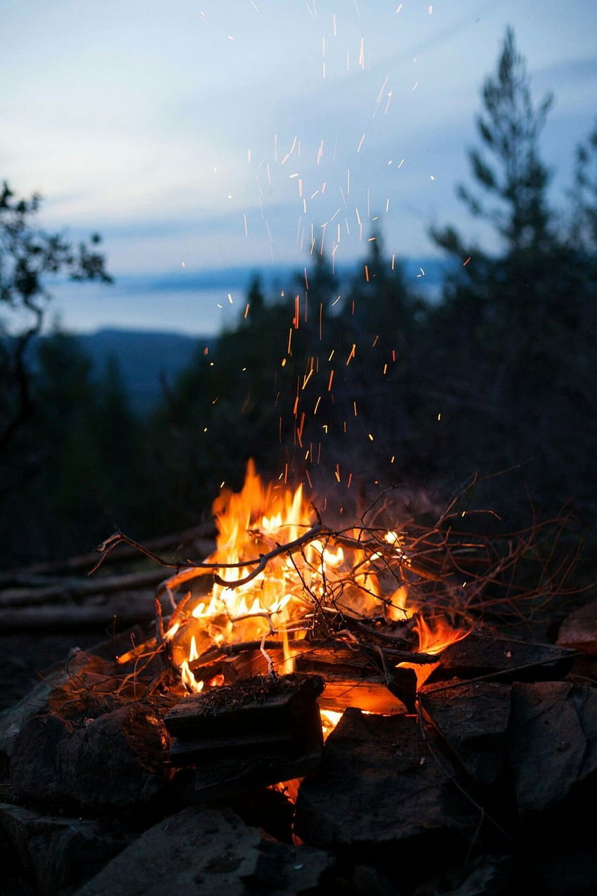 Aesthetic Fire ( Background / Android / iPhone) (, ) () (2020), Campfire HD phone wallpaper