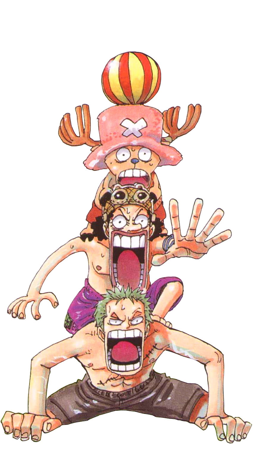 Zoro, อะนิเมะ, Usop, One Piece, Chopper, Manga วอลล์เปเปอร์โทรศัพท์ HD