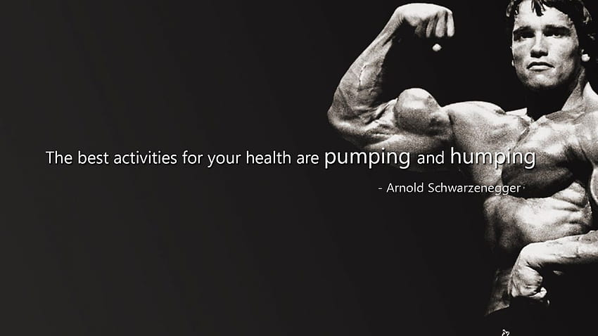 Body Building Fitness Muscle Muscles Weight Lifting Bodybuilding (24) . HD wallpaper