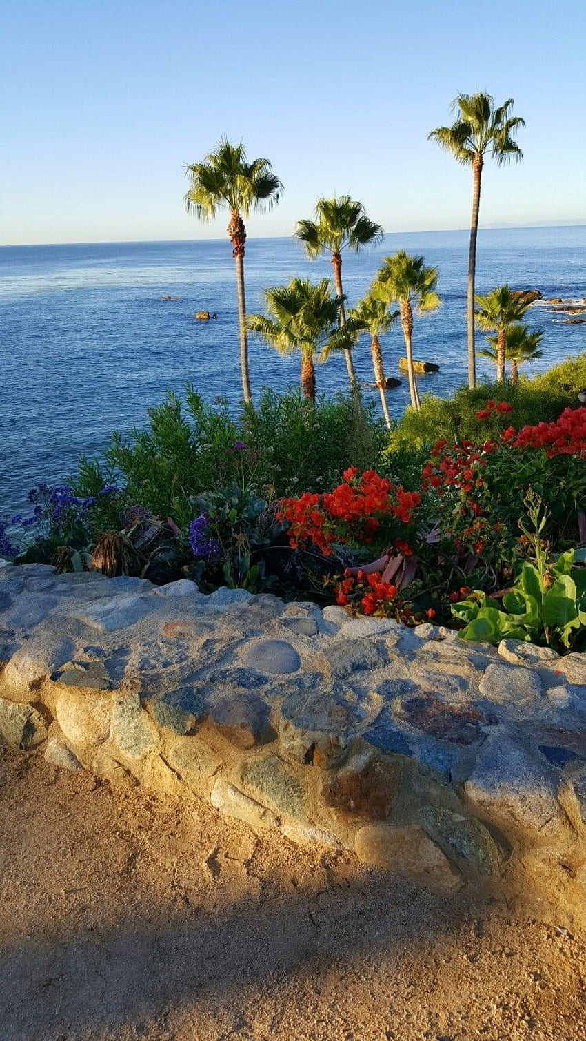 Heisler 공원 - 라구나 비치, CA. 라구나 비치, 시닉, 캘리포니아 해안 HD 전화 배경 화면
