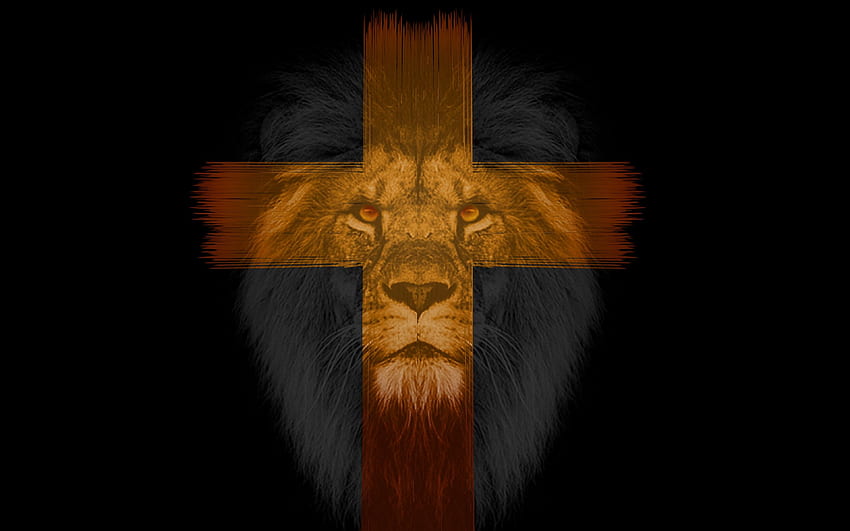 lion, cross, muzzle, dark HD wallpaper