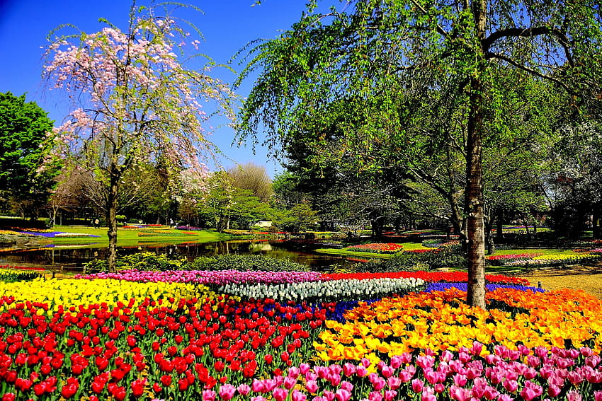 놀이공원: SPRING PARK Flowers Nature Garden Gallery HD 월페이퍼
