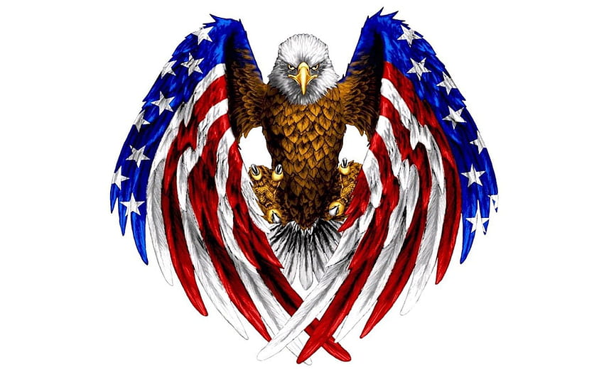새 흰머리 독수리 미국 국기 HD 월페이퍼
