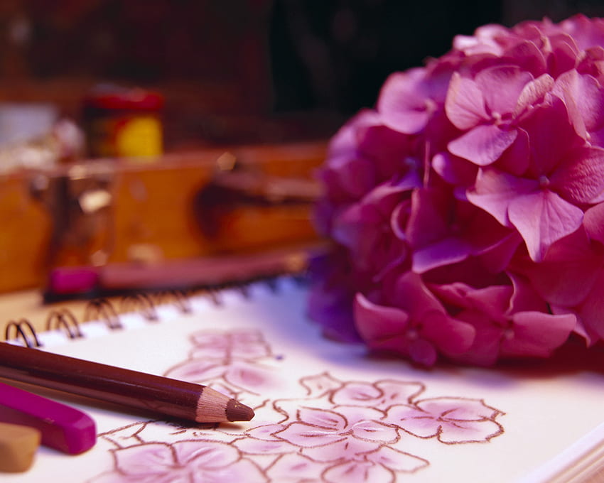art beauty, colorful, pink, art, drawing, beautiful, flowers, pencil, beauty HD wallpaper