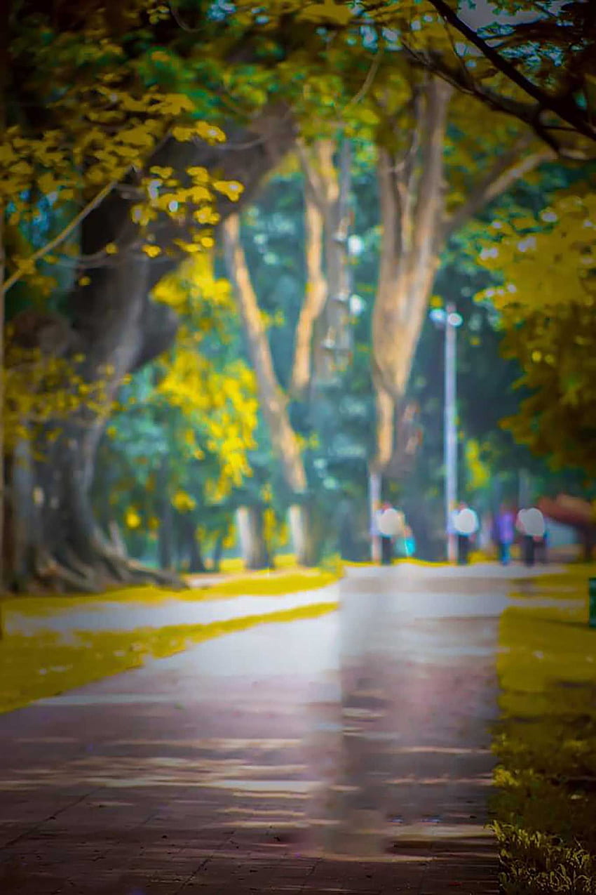 de borroso de Dslr completa fondo de pantalla del teléfono