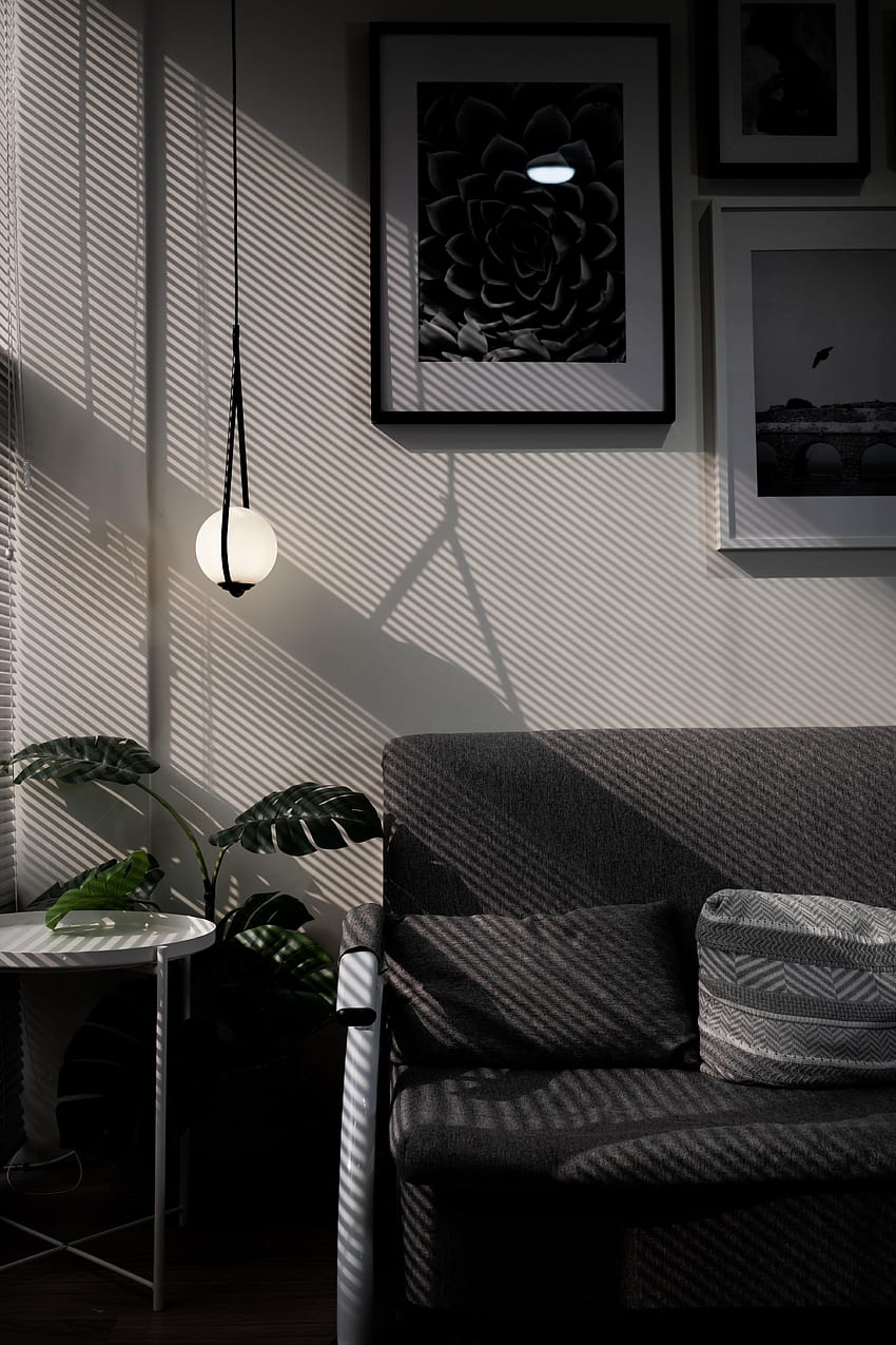 Interior, , , Table, Room, Sofa, Monstera HD phone wallpaper