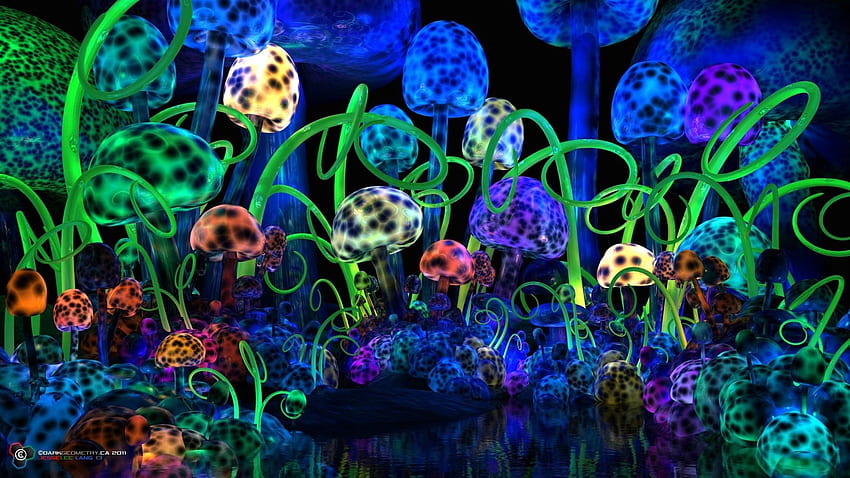 Shrooms, Psychedelic Forest HD wallpaper