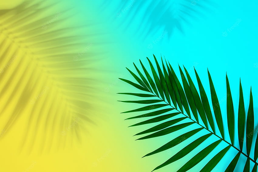 Prêmio . Folha de palmeira tropical verde exótica com sombra isolada no fundo azul amarelo. design para cartões de convite, panfletos. modelos de design abstrato para cartazes, capas, com copyspace para texto, Green Design papel de parede HD