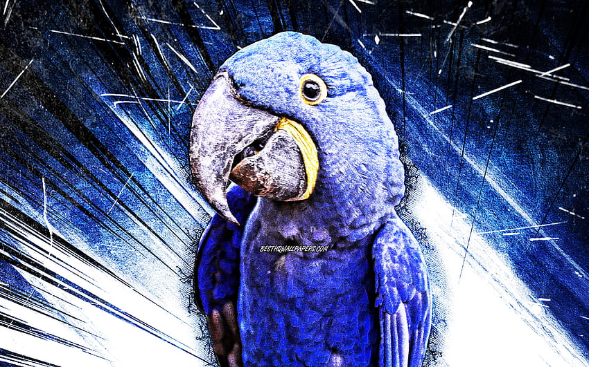 Hyacinth macaw, grunge art, blue parrot, Anodorhynchus hyacinthinus, blue  abstract rays, parrots, macaw, Ara HD wallpaper | Pxfuel