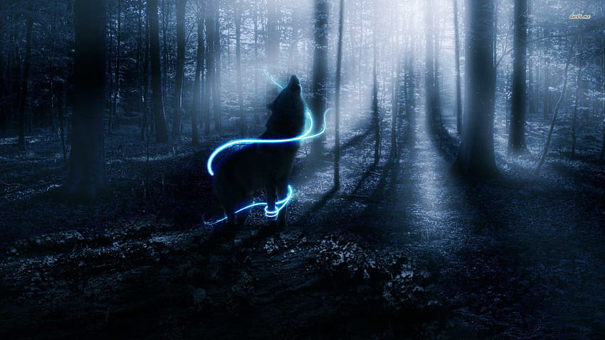 Sói rừng đen HD: Các sắc màu tuyệt đẹp và chân thực sẽ làm bạn cảm thấy như đang sống trong rừng đen nguyên sơ. Hãy thưởng thức hình ảnh sói rừng đen HD này và bị cuốn hút bởi vẻ đẹp hoang dã của thiên nhiên.