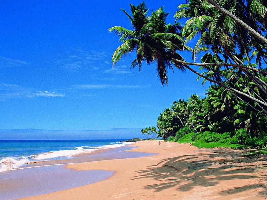Most Beautiful Beaches Goa [] for your , Mobile & Tablet. Explore World's Most Beautiful Beaches . Most Beautiful Ocean , Most Beautiful Scenic, Goa Beach HD wallpaper