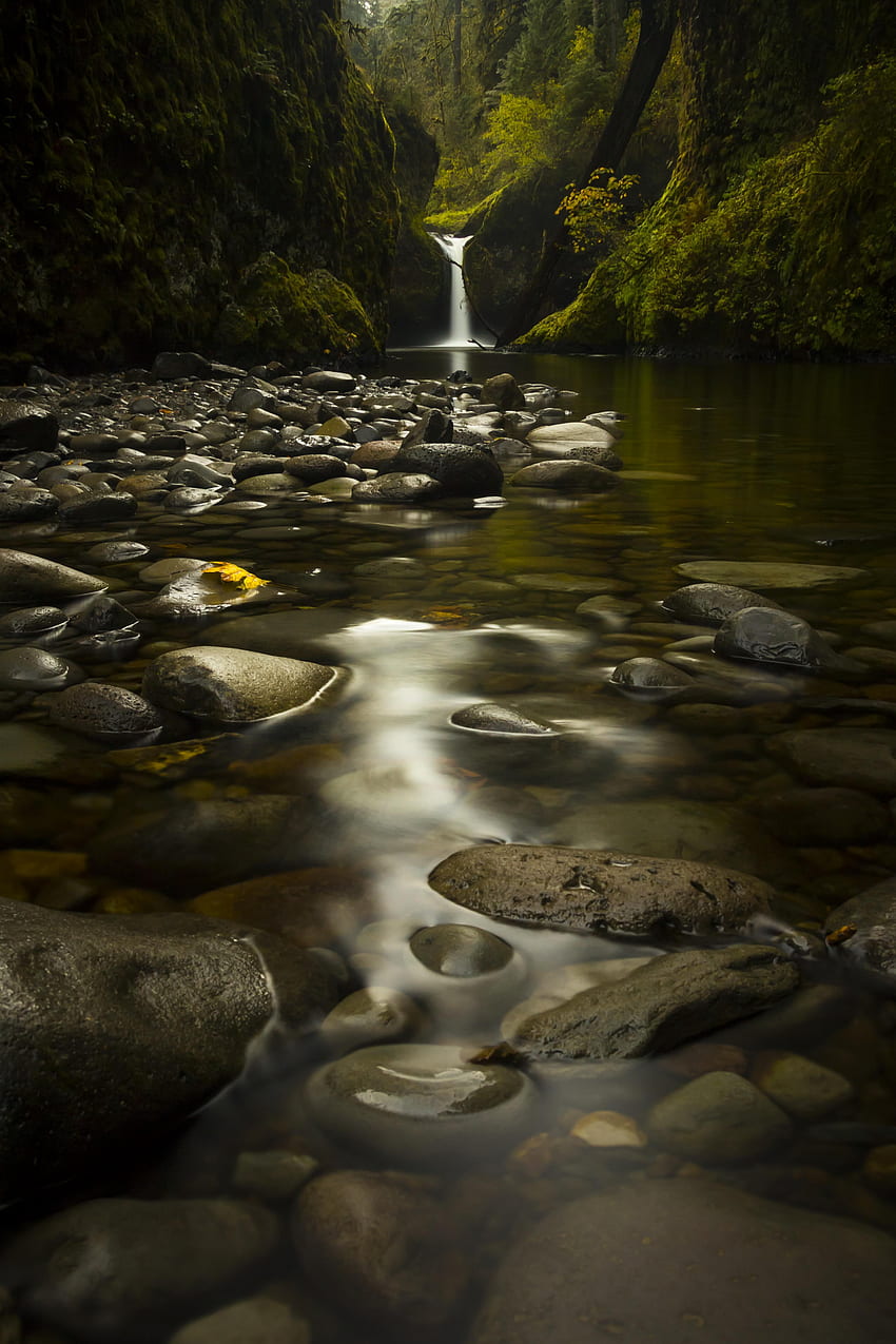 Nature, Water, Stones, Waterfall, Moss HD phone wallpaper