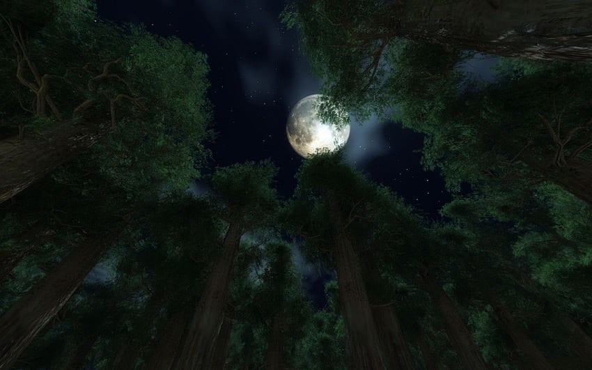 Sky Forest Night Moon Trees Dream Stars iPhone 6 Sky HD wallpaper