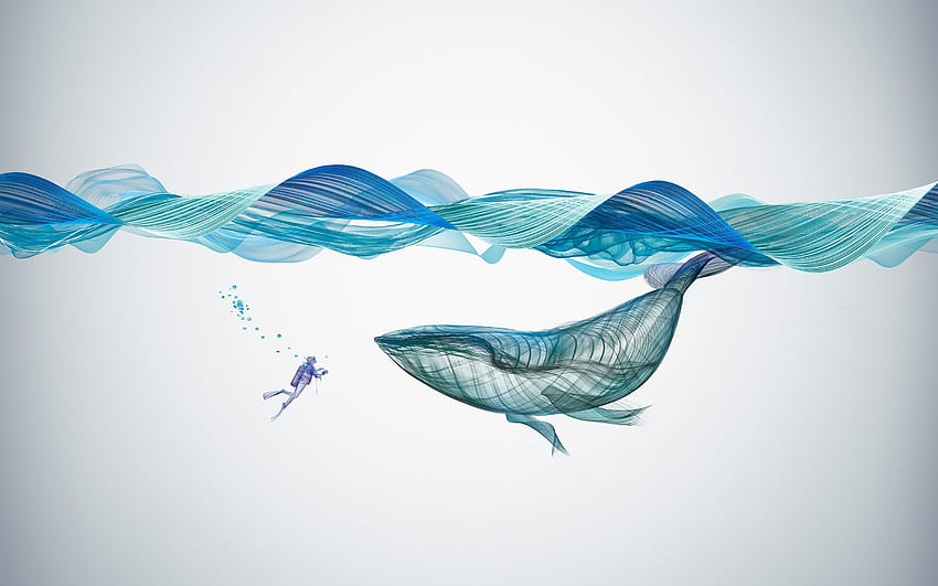 Underwater, whale, fish, illustration, art HD wallpaper