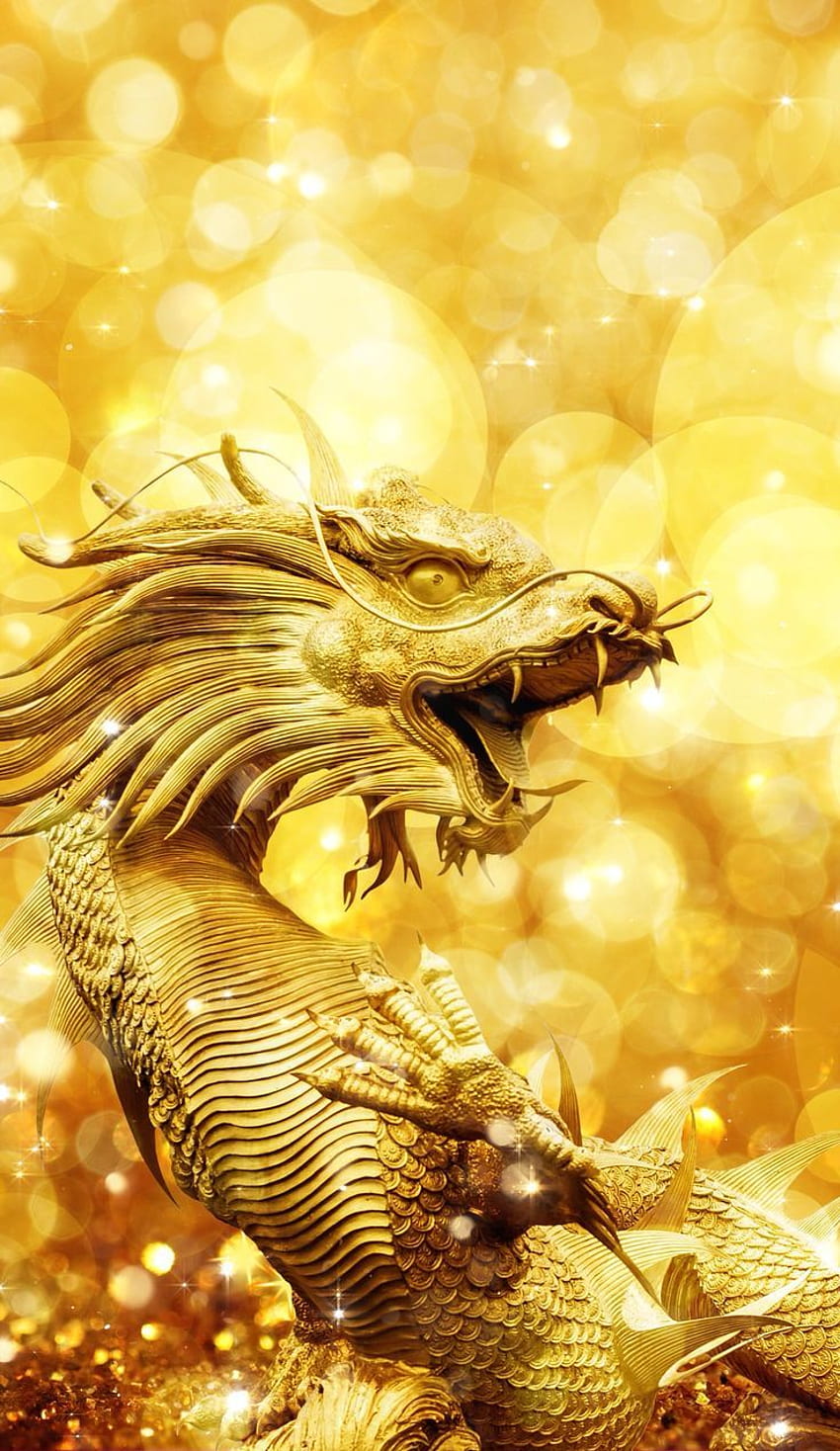 Golden Dragon Collections, Chinese Dragon HD phone wallpaper